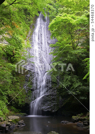 琴滝 京都府船井郡京丹波町 の写真素材