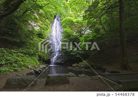 琴滝（京都府船井郡京丹波町） 54468378