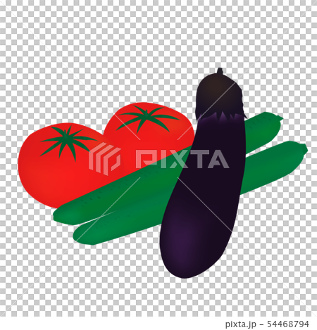 Illustration of summer vegetables 54468794