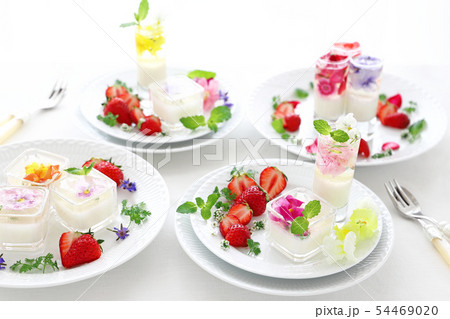 お花ゼリーのデザートプレートの写真素材