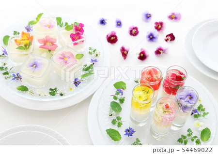 エディブルフラワーのお花ゼリーの写真素材