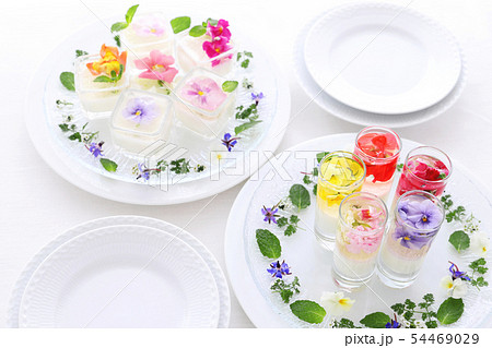 エディブルフラワーのお花ゼリー 54469029