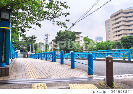 初夏の目黒川 田楽橋 初夏の目黒川 田楽橋 54469384