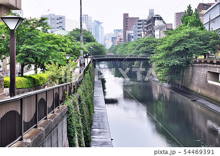 初夏の目黒川 田楽橋から望む 54469391