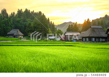 夏の農村風景 （荻ノ島環状集落の夕暮れ） 54469409