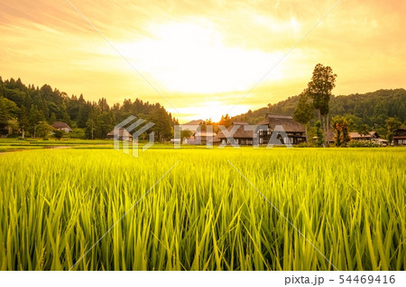 夏の農村風景 （荻ノ島環状集落の夕暮れ） 54469416