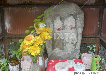 おしゃれ地蔵（藤沢市羽鳥） 54469568