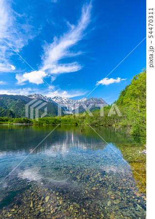 《長野県》初夏の上高地・新緑の大正池 54470311