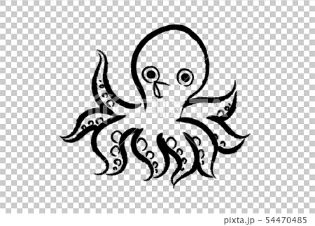 章魚 章魚 54470485