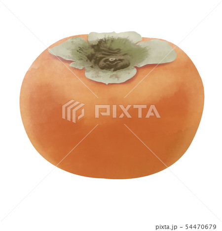 柿 54470679