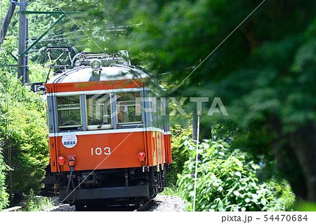 箱根登山鉄道103号 【神奈川県】 初夏の森 箱根登山鉄道103号 【神奈川県】 初夏の森 54470684