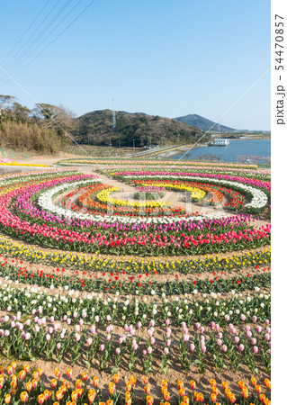 【愛知県】サンテガーデン 花祭り サンテパルクたはら 【愛知県】サンテガーデン 花祭り サンテパルクたはら 54470857