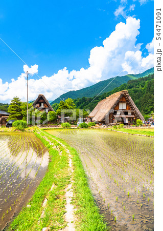《岐阜県》白川郷合掌造り集落・田植えシーズン 54471091