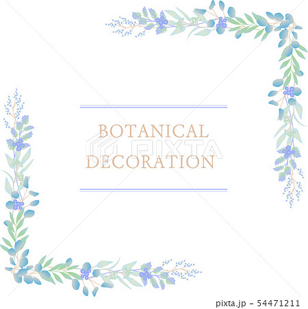 ボタニカル フレーム イラスト 植物 Botanical Plants Frame 1のイラスト素材