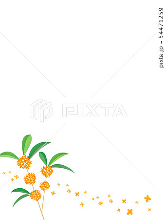 背景素材_金木犀 背景素材_金木犀 54471259