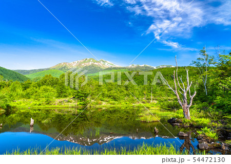 《長野県》新緑の乗鞍高原・オソメ池 54472130