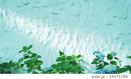 あじさいの花壇の奥にある白い壁 54473289