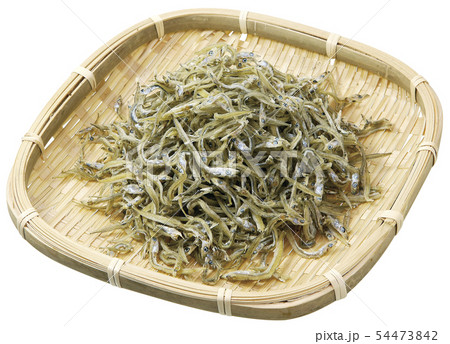 コウナゴ_05(パス付) コウナゴ_05(パス付) 54473842