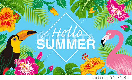 熱帯の鳥と植物のフレーム - 文字つき“Hello SUMMER" 青色背景 54474449