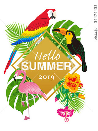 熱帯の鳥と植物のフレーム - 文字つき“Hello SUMMER" A4比率 白バック 54474452