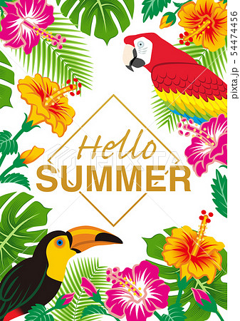 熱帯の鳥と植物のフレーム - 文字つき“Hello SUMMER" A4比率 白背景 54474456