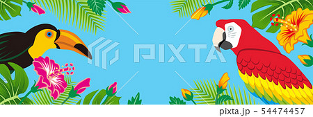 熱帯の鳥と植物のフレーム - コピースペースあり 横長 青色背景 54474457