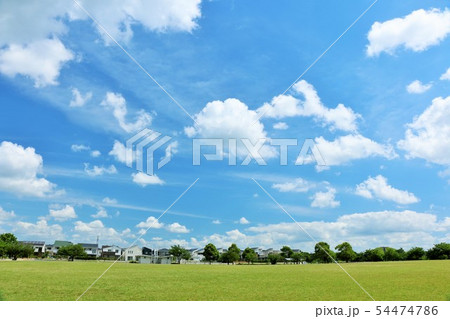 夏の青空と公園風景 54474786