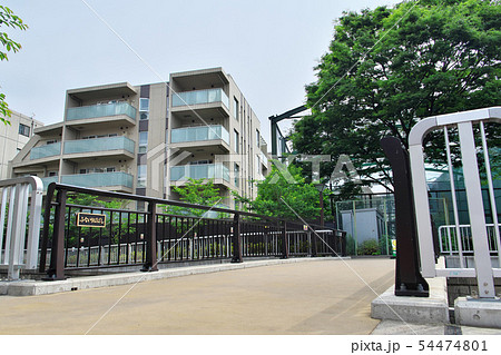 初夏の目黒川 船入場橋 初夏の目黒川 船入場橋 54474801