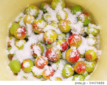 南高梅 梅干し 塩漬け 南高梅 梅干し 塩漬け 54474889