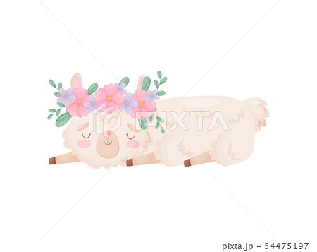 Cute cartoon llama sleeps. Vector illustration on white background. Cute cartoon llama sleeps. Vector illustration on white background. 54475197