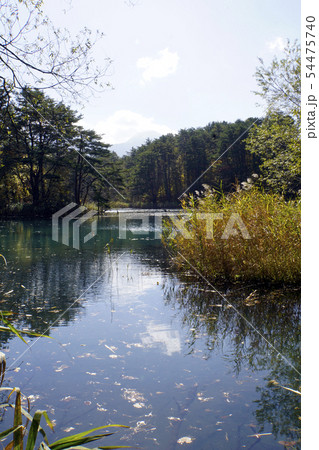 毘沙門沼 五色沼 裏磐梯 秋 自然 毘沙門沼 五色沼 裏磐梯 秋 自然 54475740
