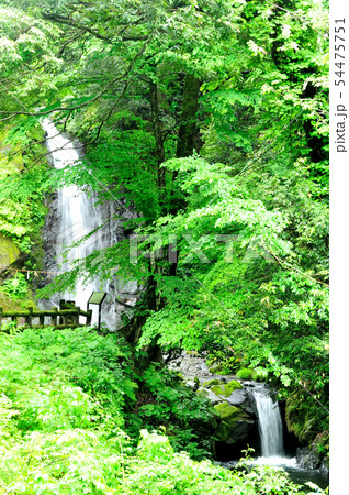 一乗滝 一乗滝 54475751