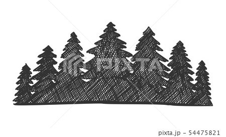 Drawn Landscape Pinery Coniferous Forest Vector Drawn Landscape Pinery Coniferous Forest Vector 54475821
