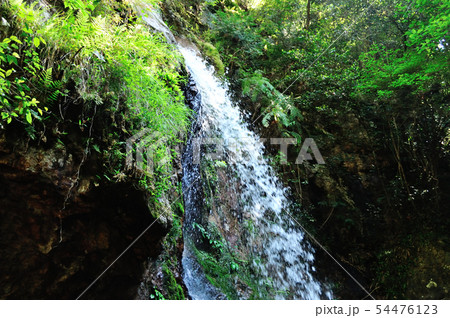 滝畑四十八滝のひとつ権現滝 54476123