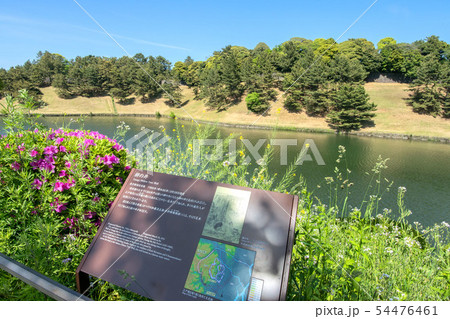 観光案内板 観光案内板 54476461