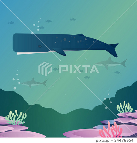 sperm whale sperm whale 54476954