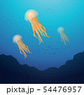 lion mane jellyfish 54476957