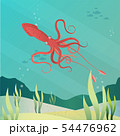 giant squid 54476962