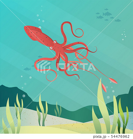 giant squid giant squid 54476962