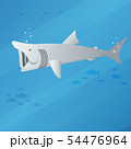 basking shark 54476964