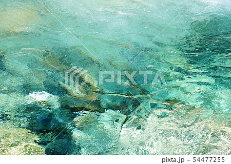 清流22 清流22 54477255