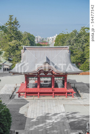 鶴岡八幡宮(鎌倉市雪ノ下) 鶴岡八幡宮(鎌倉市雪ノ下) 54477542