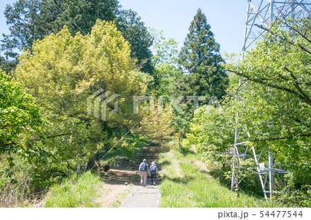 高尾山から小仏城山への登山道　一丁平付近　秋の風景 54477544