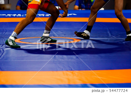 レスリング レスリング 54477724