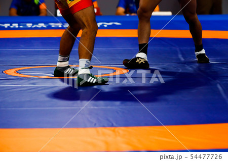 レスリング レスリング 54477726