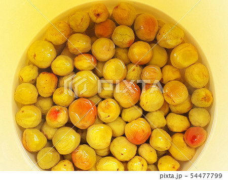 南高梅　梅干し　塩漬け　梅酢 54477799