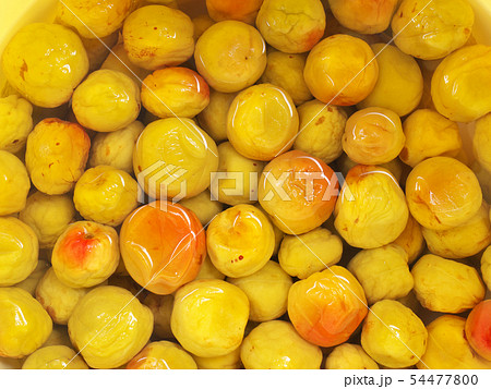 南高梅　梅干し　塩漬け　梅酢 54477800