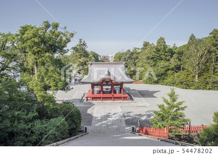 鶴岡八幡宮(鎌倉市雪ノ下)の写真素材 [54478202] - PIXTA