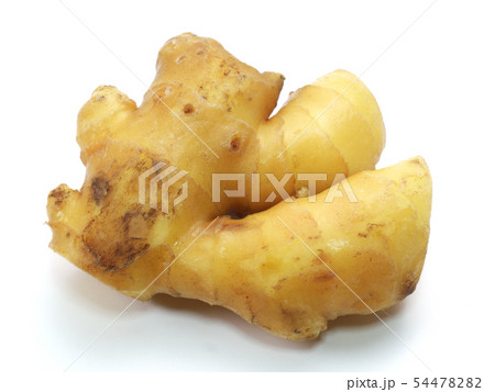 小生姜(宮崎県産） 54478282