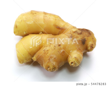 小生姜(宮崎県産） 54478283